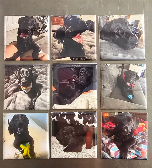 Photo Magnets Set of 9